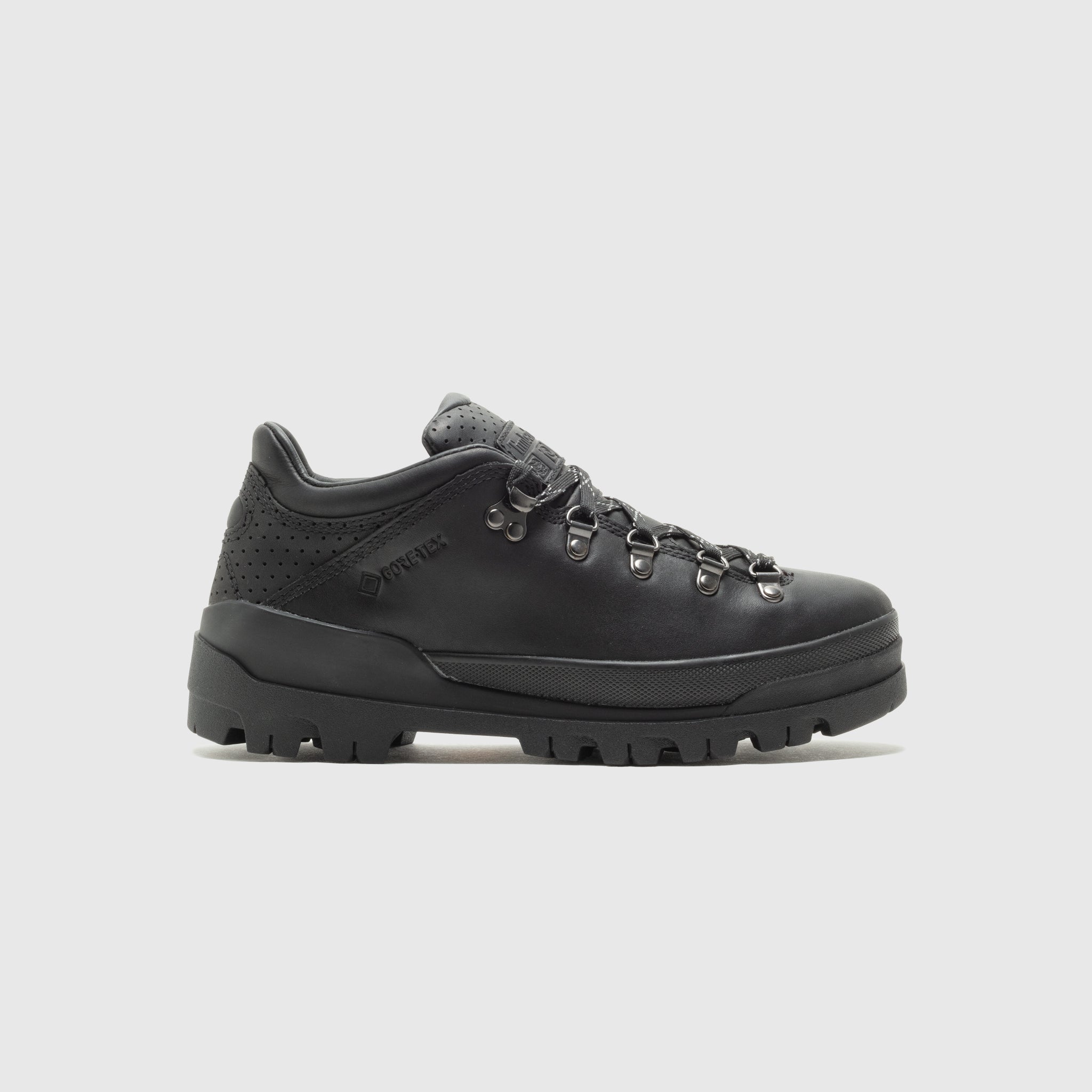 WORLD HIKER LOW GTX