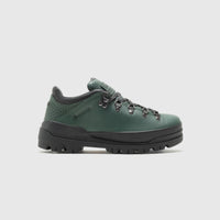 WORLD HIKER LOW GTX