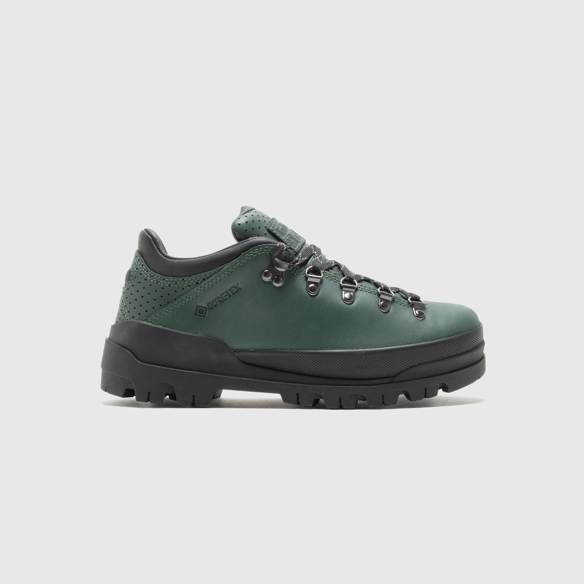 WORLD HIKER LOW GTX