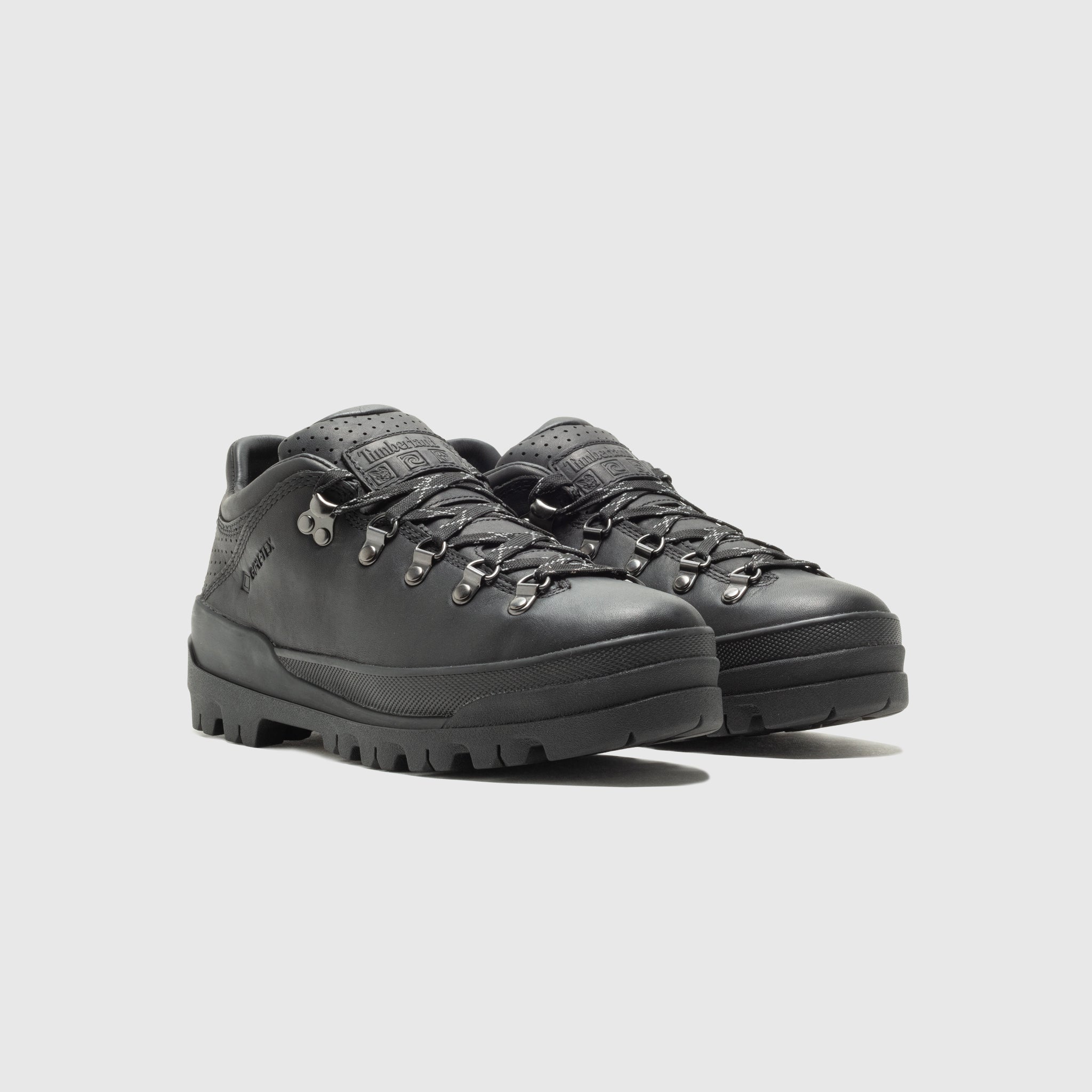 WORLD HIKER LOW GTX