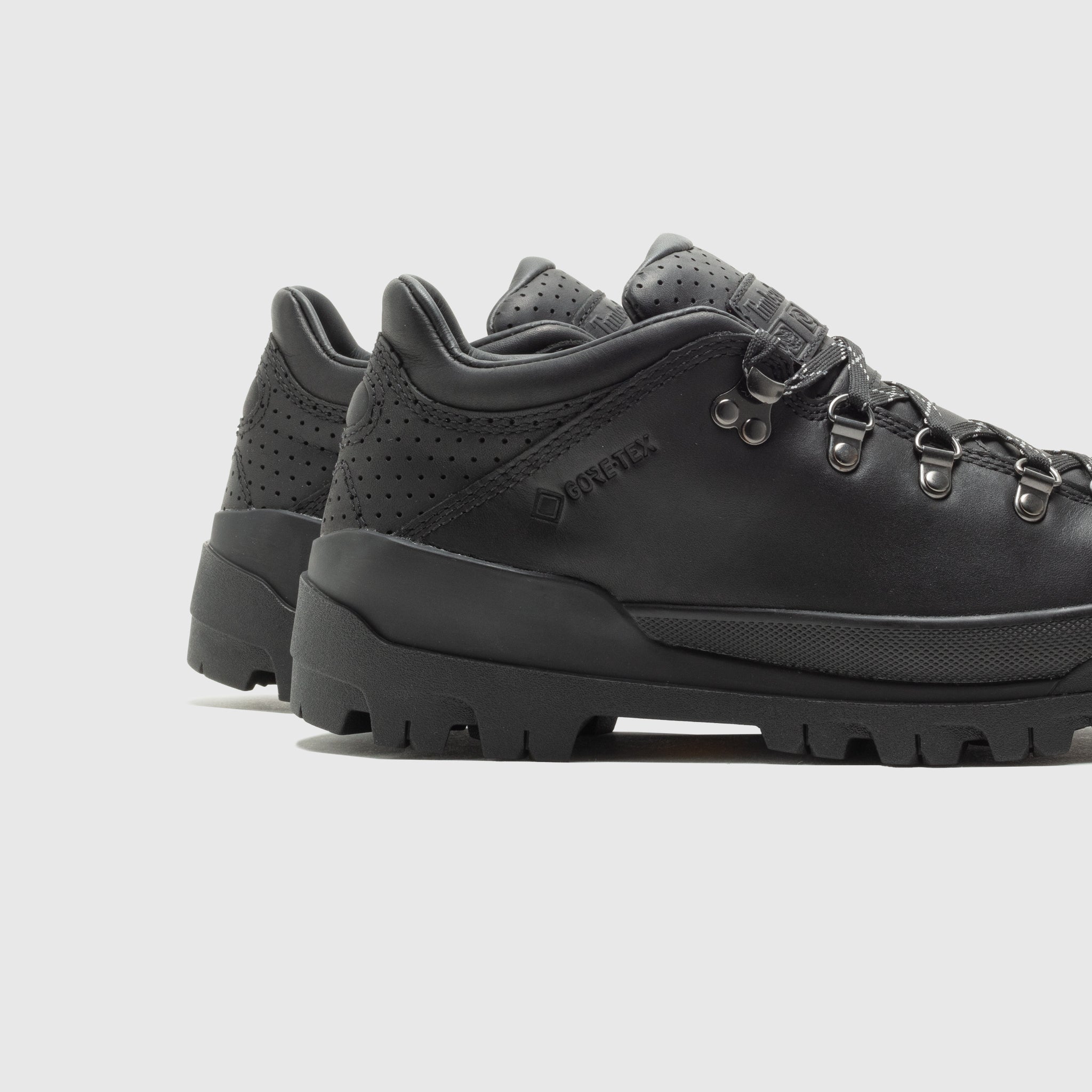 WORLD HIKER LOW GTX