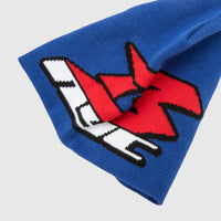 MOTO LOGO SKULLY
