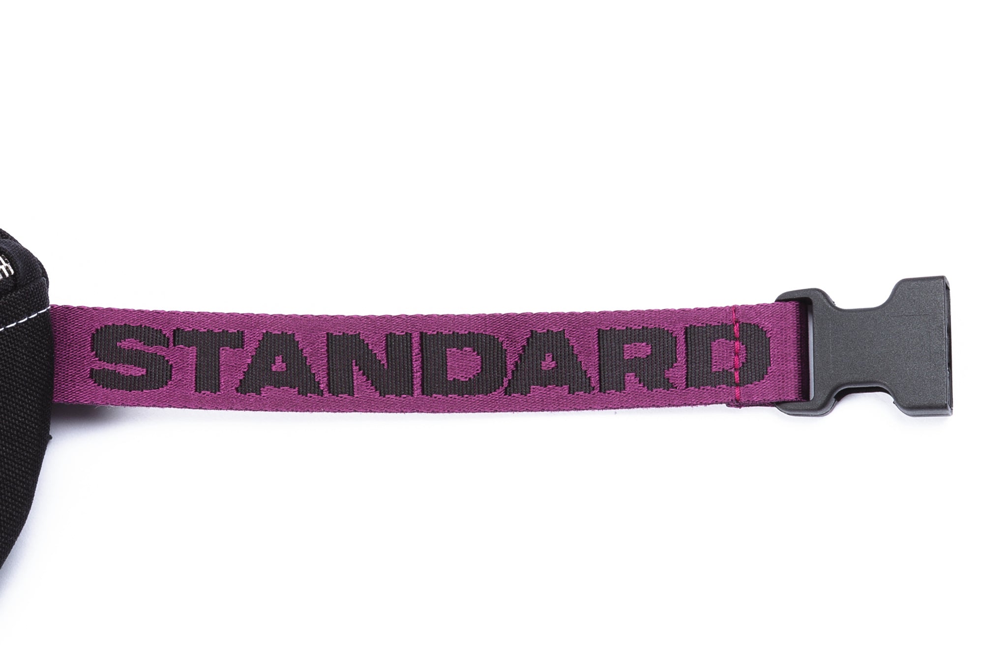 UNITED STANDARD LOGO FANNY PACK